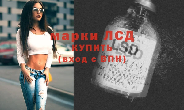 гашик Волосово