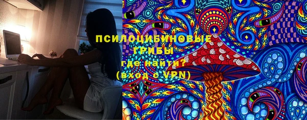 гашик Волосово