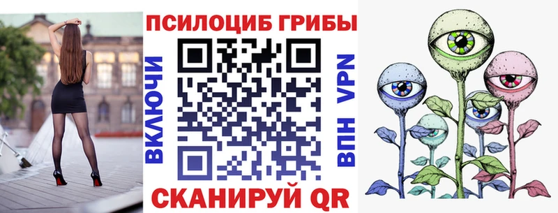 Псилоцибиновые грибы Cubensis  Купить где  Лысково 